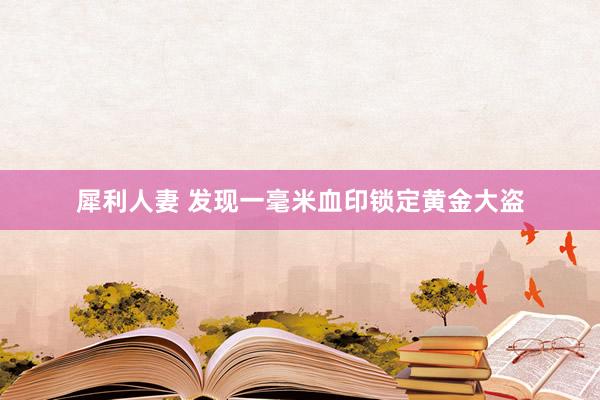 犀利人妻 发现一毫米血印锁定黄金大盗