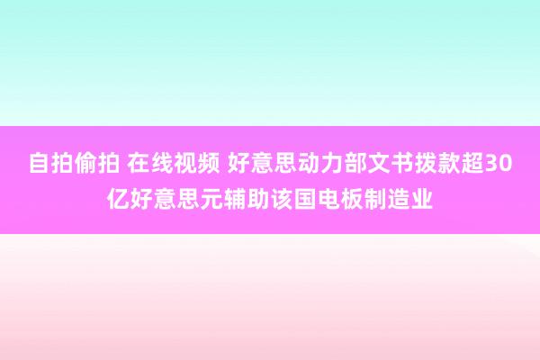 自拍偷拍 在线视频 好意思动力部文书拨款超30亿好意思元辅助该国电板制造业