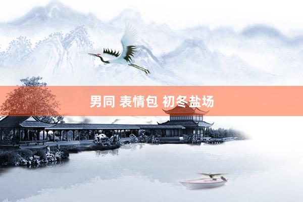 男同 表情包 初冬盐场