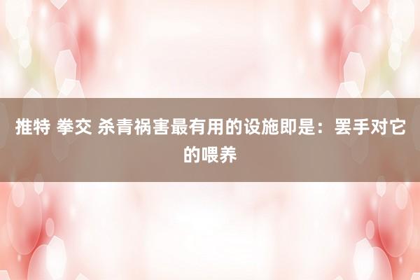 推特 拳交 杀青祸害最有用的设施即是：罢手对它的喂养