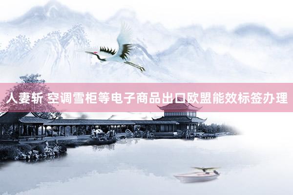 人妻斩 空调雪柜等电子商品出口欧盟能效标签办理