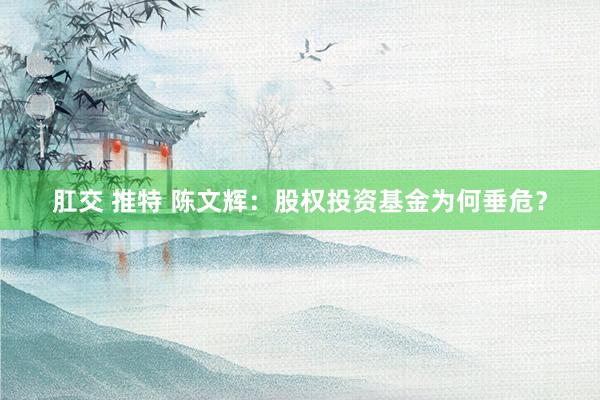 肛交 推特 陈文辉：股权投资基金为何垂危？
