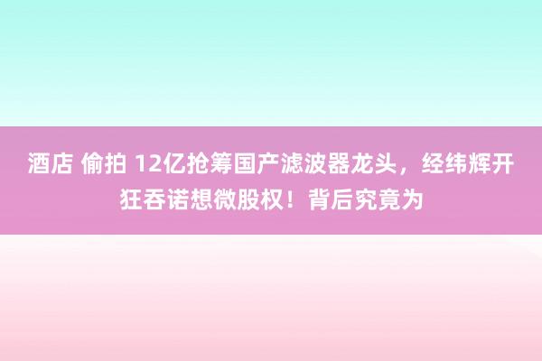 酒店 偷拍 12亿抢筹国产滤波器龙头，经纬辉开狂吞诺想微股权！背后究竟为