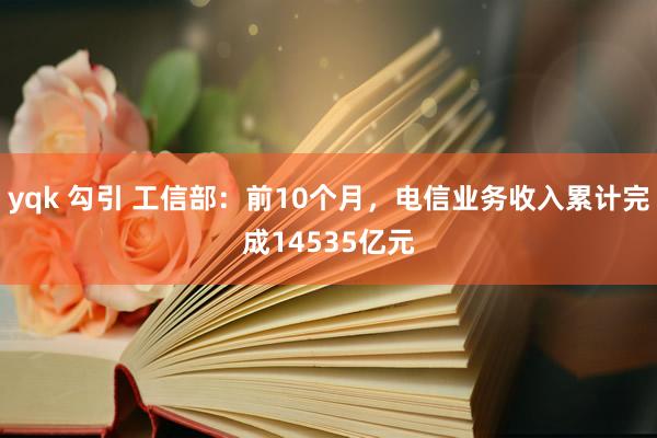 yqk 勾引 工信部：前10个月，电信业务收入累计完成14535亿元