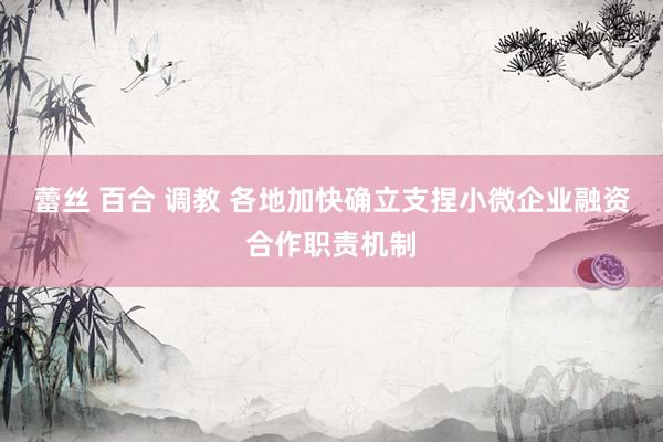 蕾丝 百合 调教 各地加快确立支捏小微企业融资合作职责机制