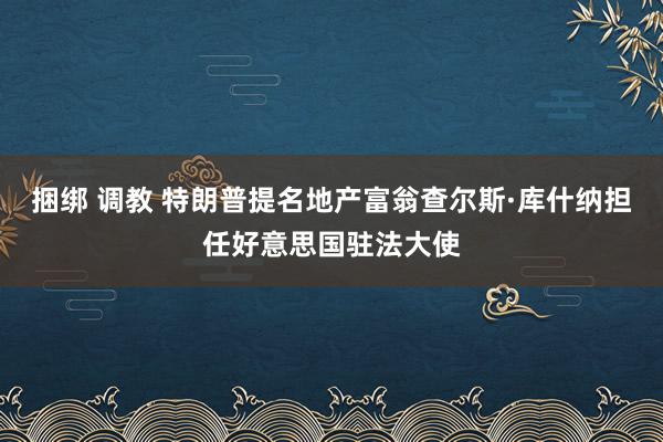 捆绑 调教 特朗普提名地产富翁查尔斯·库什纳担任好意思国驻法大使