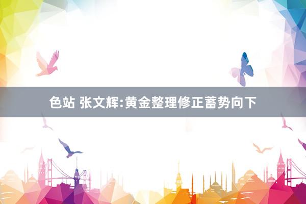 色站 张文辉:黄金整理修正蓄势向下