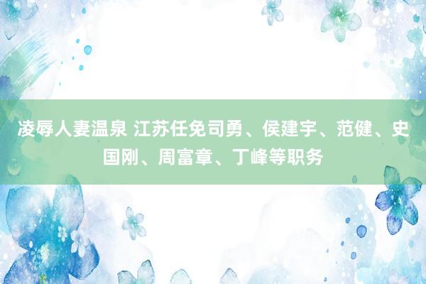 凌辱人妻温泉 江苏任免司勇、侯建宇、范健、史国刚、周富章、丁峰等职务