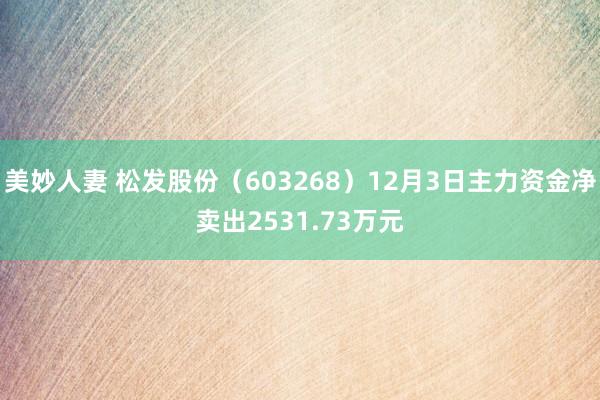 美妙人妻 松发股份（603268）12月3日主力资金净卖出2531.73万元