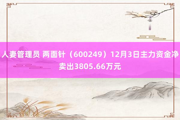 人妻管理员 两面针（600249）12月3日主力资金净卖出3805.66万元