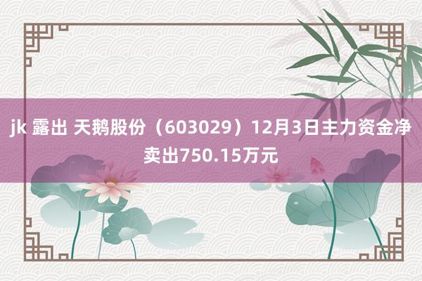 jk 露出 天鹅股份（603029）12月3日主力资金净卖出750.15万元