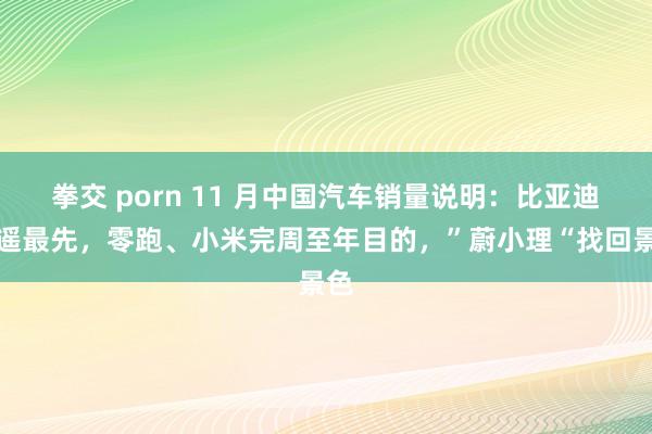 拳交 porn 11 月中国汽车销量说明：比亚迪遥遥最先，零跑、小米完周至年目的，”蔚小理“找回景色