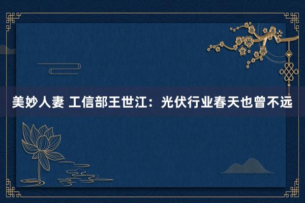 美妙人妻 工信部王世江：光伏行业春天也曾不远
