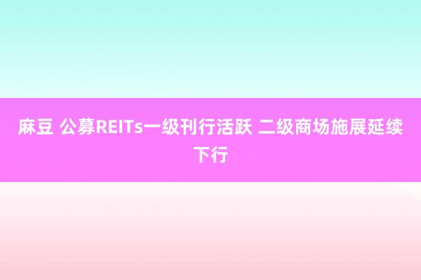麻豆 公募REITs一级刊行活跃 二级商场施展延续下行