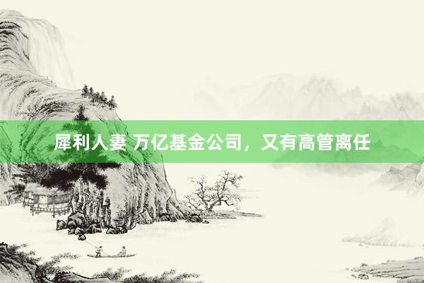 犀利人妻 万亿基金公司，又有高管离任