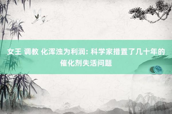 女王 调教 化浑浊为利润: 科学家措置了几十年的催化剂失活问题