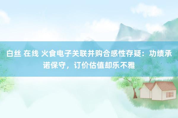 白丝 在线 火食电子关联并购合感性存疑：功绩承诺保守，订价估值却乐不雅