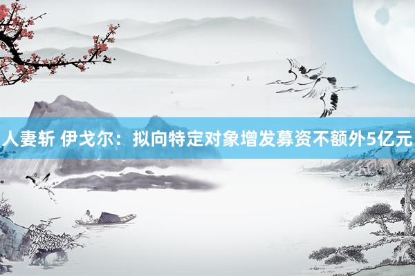 人妻斩 伊戈尔：拟向特定对象增发募资不额外5亿元