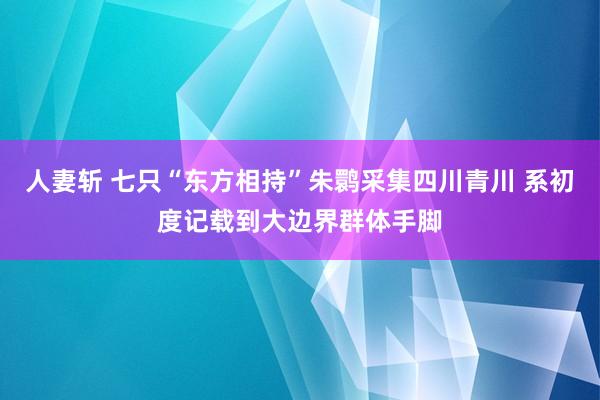 人妻斩 七只“东方相持”朱鹮采集四川青川 系初度记载到大边界群体手脚