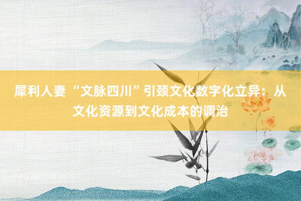 犀利人妻 “文脉四川”引颈文化数字化立异：从文化资源到文化成本的调治