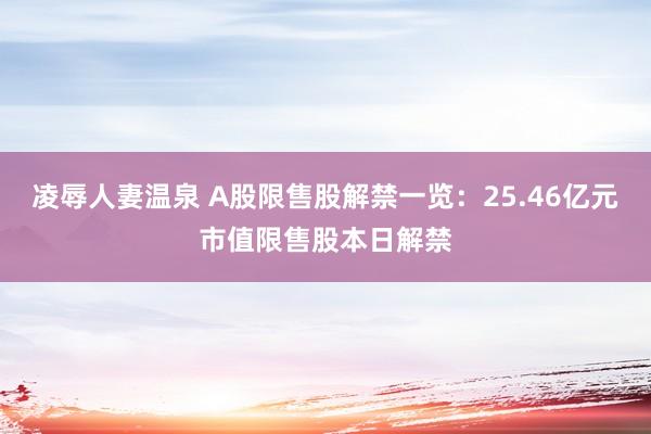 凌辱人妻温泉 A股限售股解禁一览：25.46亿元市值限售股本日解禁