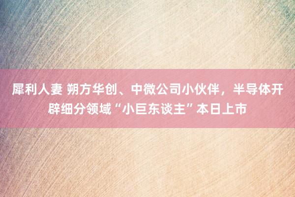 犀利人妻 朔方华创、中微公司小伙伴，半导体开辟细分领域“小巨东谈主”本日上市