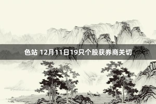 色站 12月11日19只个股获券商关切