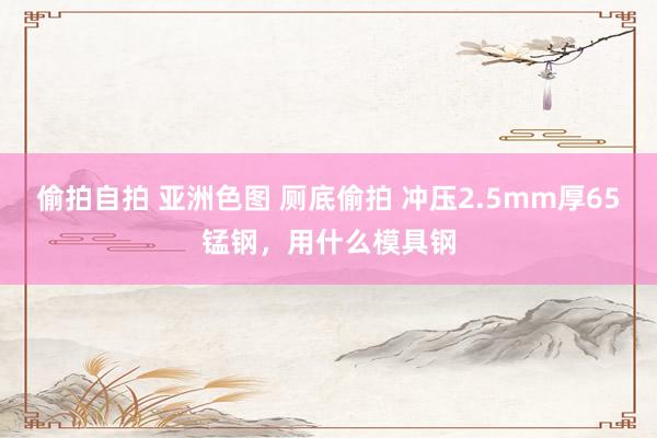 偷拍自拍 亚洲色图 厕底偷拍 冲压2.5mm厚65锰钢，用什么模具钢
