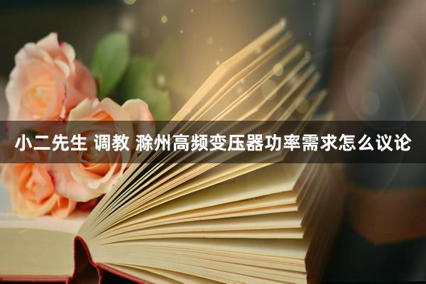 小二先生 调教 滁州高频变压器功率需求怎么议论