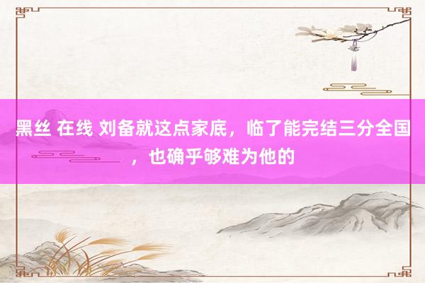 黑丝 在线 刘备就这点家底，临了能完结三分全国，也确乎够难为他的
