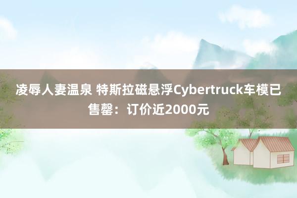 凌辱人妻温泉 特斯拉磁悬浮Cybertruck车模已售罄：订价近2000元