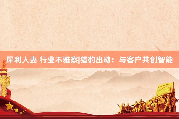 犀利人妻 行业不雅察|猎豹出动：与客户共创智能