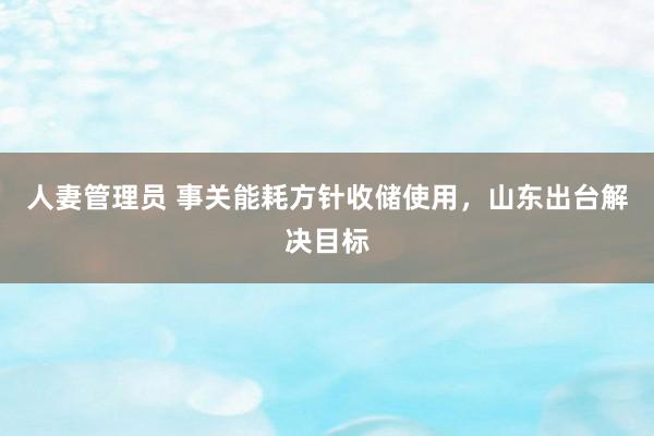 人妻管理员 事关能耗方针收储使用，山东出台解决目标
