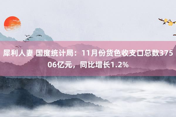 犀利人妻 国度统计局：11月份货色收支口总数37506亿元，同比增长1.2%