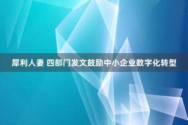 犀利人妻 四部门发文鼓励中小企业数字化转型
