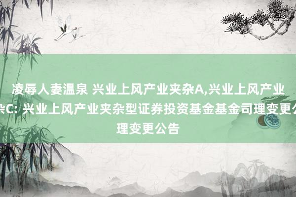 凌辱人妻温泉 兴业上风产业夹杂A,兴业上风产业夹杂C: 兴业上风产业夹杂型证券投资基金基金司理变更公告