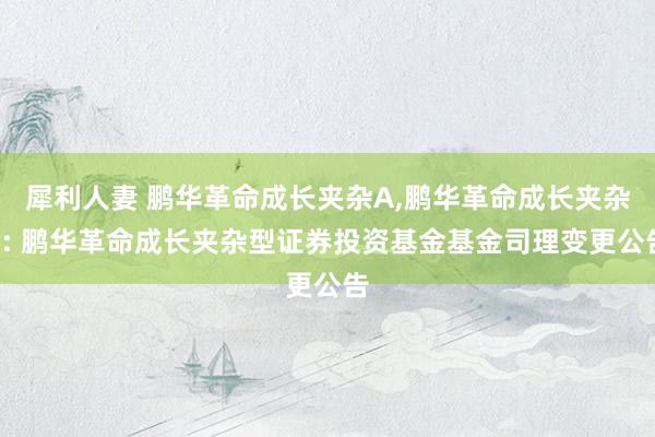 犀利人妻 鹏华革命成长夹杂A,鹏华革命成长夹杂C: 鹏华革命成长夹杂型证券投资基金基金司理变更公告