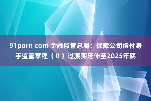 91porn com 金融监管总局：保障公司偿付身手监管章程（Ⅱ）过渡期延伸至2025年底