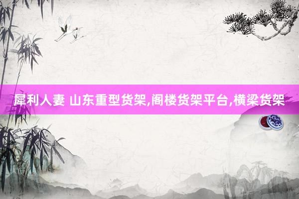 犀利人妻 山东重型货架,阁楼货架平台,横梁货架