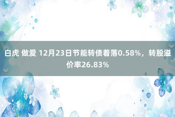 白虎 做爱 12月23日节能转债着落0.58%，转股溢价率26.83%