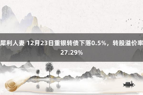 犀利人妻 12月23日重银转债下落0.5%，转股溢价率27.29%