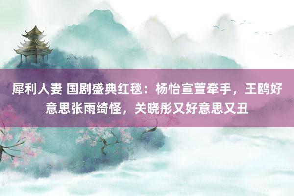 犀利人妻 国剧盛典红毯：杨怡宣萱牵手，王鸥好意思张雨绮怪，关晓彤又好意思又丑