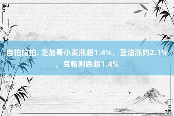 自拍偷拍. 芝加哥小麦涨超1.4%，豆油涨约2.1%，豆粕则跌超1.4%