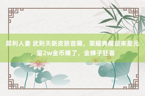 犀利人妻 武则天新皮肤首曝，荣耀典藏迎来星元，留2w金币赚了，金蝉子狂喜