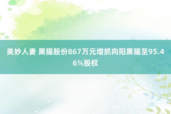美妙人妻 黑猫股份867万元增抓向阳黑猫至95.46%股权