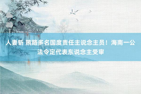 人妻斩 贿赂多名国度责任主说念主员！海南一公法令定代表东说念主受审