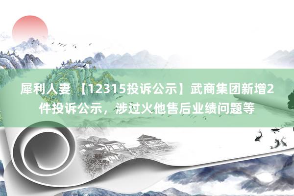 犀利人妻 【12315投诉公示】武商集团新增2件投诉公示，涉过火他售后业绩问题等