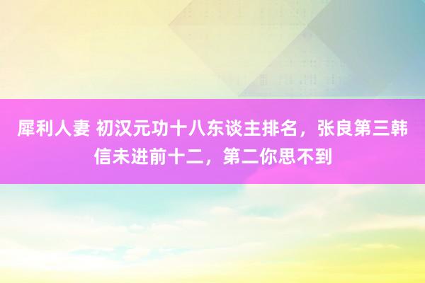 犀利人妻 初汉元功十八东谈主排名，张良第三韩信未进前十二，第二你思不到