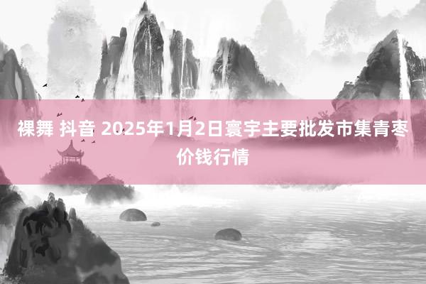 裸舞 抖音 2025年1月2日寰宇主要批发市集青枣价钱行情