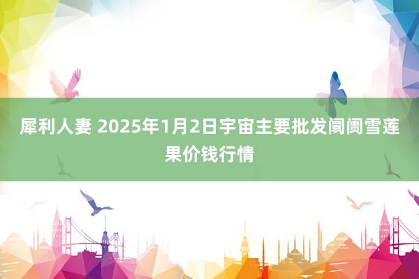 犀利人妻 2025年1月2日宇宙主要批发阛阓雪莲果价钱行情
